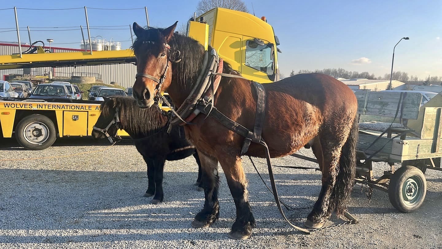 A vehicle sourced by Nomad Enroute